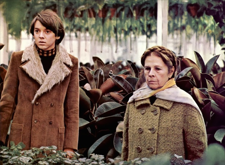 harold&amp;maude-4